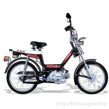 ZF30-E moped